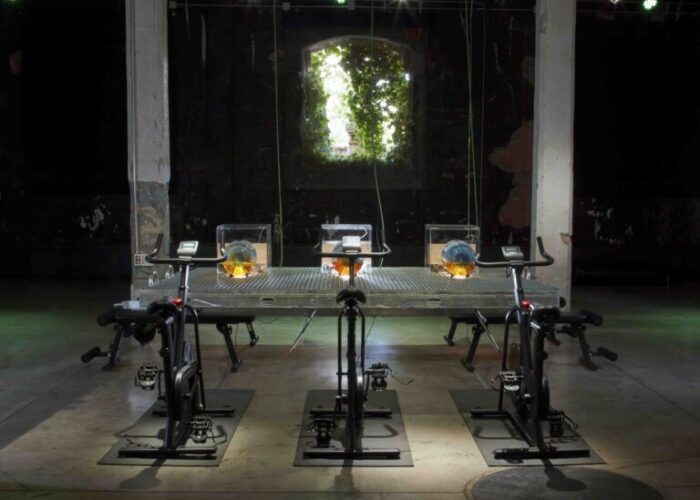 014_Clima-Fitness_Installation-by-Common-Accounts-Art-by-Mary-Maggic_Photo-by-Geray-Mena_1-768x549